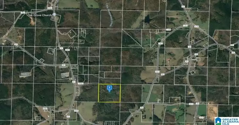 0 CO ROAD, NEWELL, Randolph, Alabama, 1350038, ,Lots,For Sale,CO ROAD,1350038