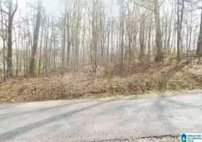 0 RANSOME DRIVE, ONEONTA, Blount, Alabama, 1350772, ,Lots,For Sale,RANSOME DRIVE,1350772
