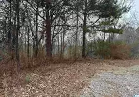 7185 DONS DRIVE, BESSEMER, Jefferson, Alabama, 35023, 1354603, ,Lots,For Sale,DONS DRIVE,1354603