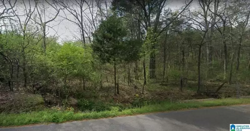 5325 RED HOLLOW ROAD, BIRMINGHAM, Jefferson, Alabama, 35215, 1355017, ,Acreage,For Sale,RED HOLLOW ROAD,1355017