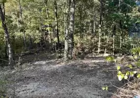 301 FOREST PARKWAY, ALABASTER, Shelby, Alabama, 35007, 1356189, ,Lots,For Sale,FOREST PARKWAY,1356189