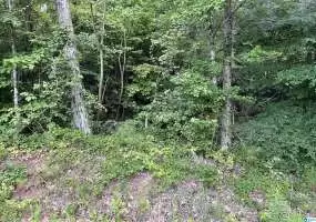 2186 DEANS FERRY ROAD, WARRIOR, Blount, Alabama, 1357428, ,Lots,For Sale,DEANS FERRY ROAD,1357428