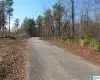 Lot # 2 COUNTY ROAD 3294, WEDOWEE, Randolph, Alabama, 1357444, ,Lots,For Sale,COUNTY ROAD 3294,1357444
