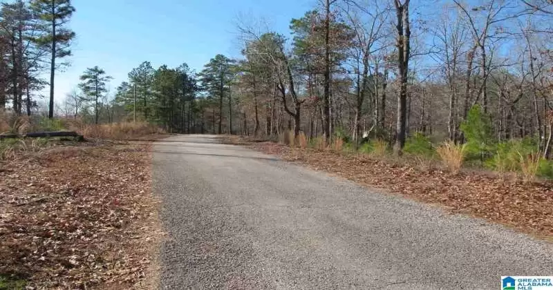 Lot # 2 COUNTY ROAD 3294, WEDOWEE, Randolph, Alabama, 1357444, ,Lots,For Sale,COUNTY ROAD 3294,1357444