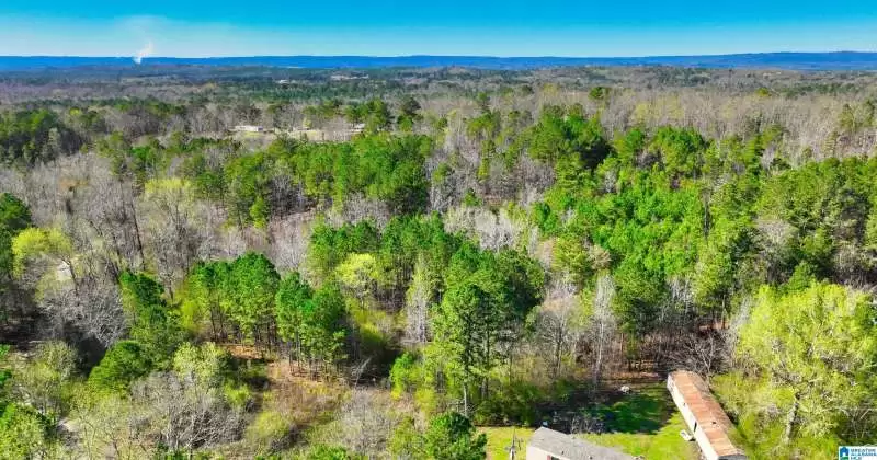 0 FORD HILL ROAD, ASHVILLE, St Clair, Alabama, 35953, 1357481, ,Acreage,For Sale,FORD HILL ROAD,1357481