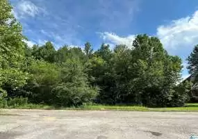 7763 CLAYTON COVE PARKWAY, PINSON, Jefferson, Alabama, 35126, 1359132, ,Lots,For Sale,CLAYTON COVE PARKWAY,1359132