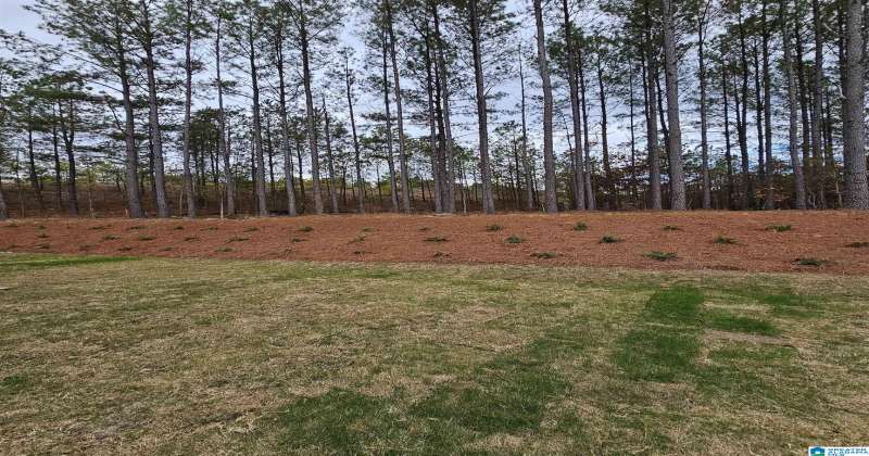 1126 DUNSMORE DRIVE, CHELSEA, Shelby, Alabama, 35043, 1359242, 4 Bedrooms Bedrooms, ,4 BathroomsBathrooms,Single Family Home,For Sale,DUNSMORE DRIVE,1359242