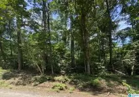 270 COUNTY ROAD 232, CRANE HILL, Winston, Alabama, 1362086, ,Lots,For Sale,COUNTY ROAD 232,1362086