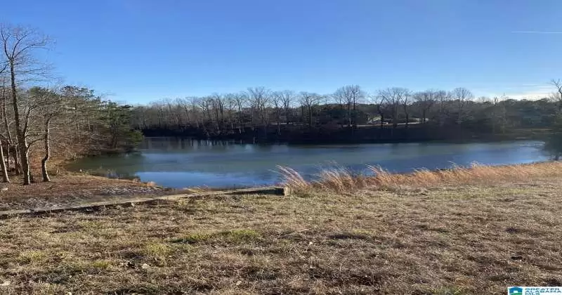 0 WHITE TAIL RUN, CHELSEA, Shelby, Alabama, 35043, 1362268, ,Lots,For Sale,WHITE TAIL RUN,1362268