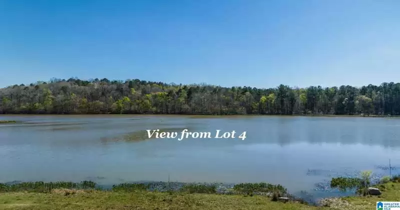 0 BEECH HOLLOW, CHELSEA, Shelby, Alabama, 35043, 1362592, ,Lots,For Sale,BEECH HOLLOW,1362592