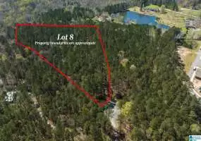 0 BEECH HOLLOW, CHELSEA, Shelby, Alabama, 1362594, ,Lots,For Sale,BEECH HOLLOW,1362594
