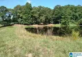 1280 COUNTY ROAD 667, MUSCADINE, Cleburne, Alabama, 36269, 1363098, ,Acreage,For Sale,COUNTY ROAD 667,1363098