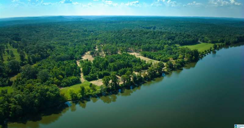 Lot 19 WESTER DRIVE, RAGLAND, St Clair, Alabama, 35131, 21366863, ,Lots,For Sale,WESTER DRIVE,21366863