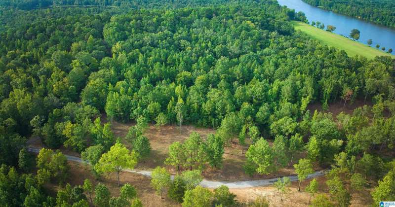 Lot 19 WESTER DRIVE, RAGLAND, St Clair, Alabama, 35131, 21366863, ,Lots,For Sale,WESTER DRIVE,21366863