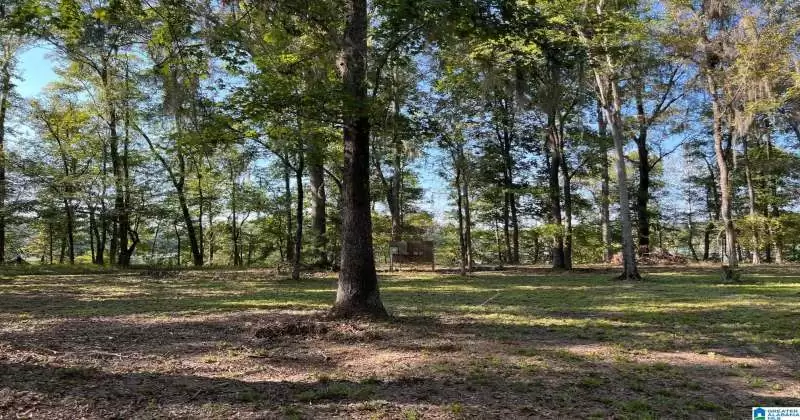 25 AC COUNTY ROAD 225, MINTER, Dallas, Alabama, 36761, 21366977, ,Lots,For Sale,COUNTY ROAD 225,21366977