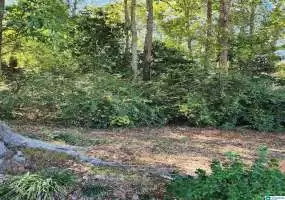 LUCILLE CIRCLE, ROANOKE, Randolph, Alabama, 21367637, ,Lots,For Sale,LUCILLE CIRCLE,21367637