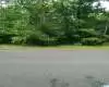 8965 WOODHAVEN DRIVE, PINSON, Jefferson, Alabama, 35126, 1352387, ,Lots,For Sale,WOODHAVEN DRIVE,1352387