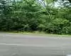 8965 WOODHAVEN DRIVE, PINSON, Jefferson, Alabama, 35126, 1352387, ,Lots,For Sale,WOODHAVEN DRIVE,1352387