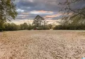 1421 WATERS COURT, BESSEMER, Jefferson, Alabama, 35023, 21370356, ,Acreage,For Sale,WATERS COURT,21370356
