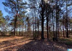 0 HERB COLLETTE DRIVE, STEELE, St Clair, Alabama, 35987, 21372275, ,Acreage,For Sale,HERB COLLETTE DRIVE,21372275