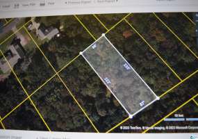 31 LAKEVIEW DRIVE, LAKEVIEW, Tuscaloosa, Alabama, 35111, 21372360, ,Lots,For Sale,LAKEVIEW DRIVE,21372360