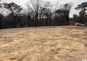 175 SHAW DRIVE, CHELSEA, Shelby, Alabama, 21372659, ,Lots,For Sale,SHAW DRIVE,21372659