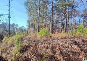 0 VALLEY CREST ROAD, SYLACAUGA, Coosa, Alabama, 21373979, ,Lots,For Sale,VALLEY CREST ROAD,21373979