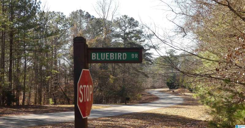 Lot 67 BLUE BIRD DRIVE, WEDOWEE, Randolph, Alabama, 36278, 21376120, ,Lots,For Sale,BLUE BIRD DRIVE,21376120