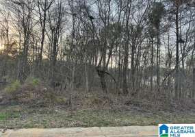107 HEIGHTS WAY, PELL CITY, St Clair, Alabama, 35125, 21378058, ,Lots,For Sale,HEIGHTS WAY,21378058