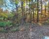 0 KENNEDY DRIVE, ONEONTA, Blount, Alabama, 21379398, ,Lots,For Sale,KENNEDY DRIVE,21379398