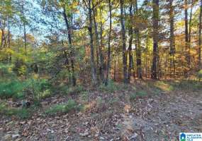 0 KENNEDY DRIVE, ONEONTA, Blount, Alabama, 21379398, ,Lots,For Sale,KENNEDY DRIVE,21379398