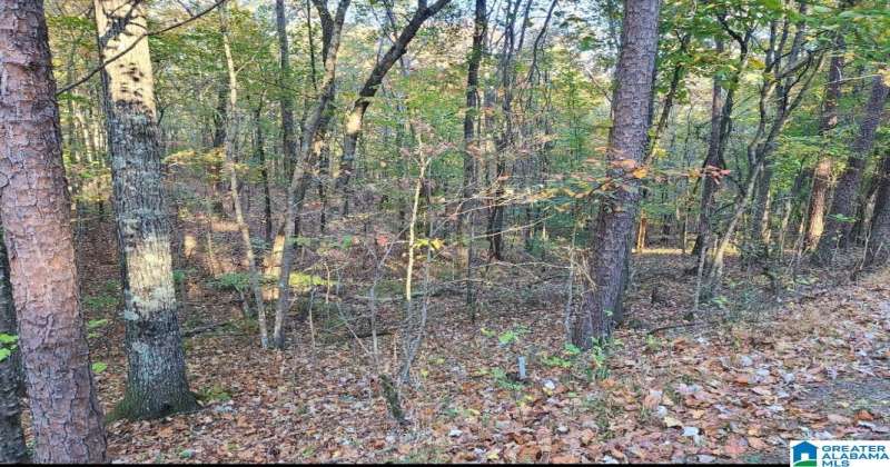 0 KENNEDY DRIVE, ONEONTA, Blount, Alabama, 21379399, ,Lots,For Sale,KENNEDY DRIVE,21379399