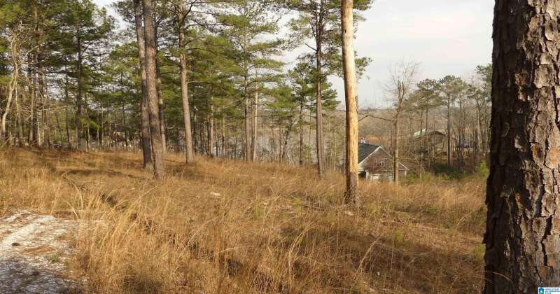 LOT 36 COUNTY ROAD 256, WEDOWEE, Randolph, Alabama, 36278, 21379859, ,Lots,For Sale,COUNTY ROAD 256,21379859