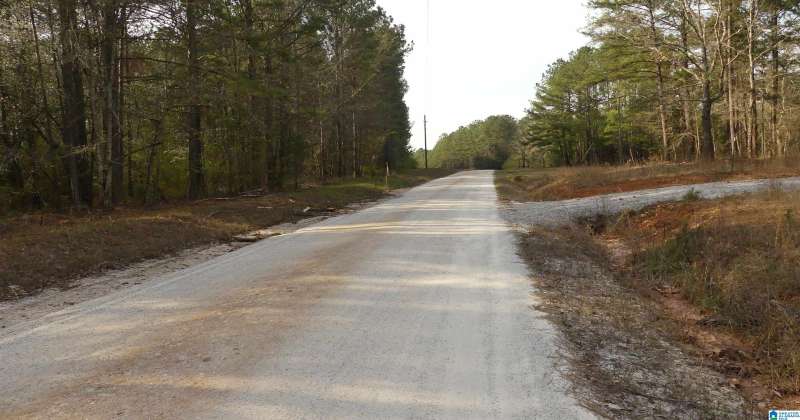 LOT 36 COUNTY ROAD 256, WEDOWEE, Randolph, Alabama, 36278, 21379859, ,Lots,For Sale,COUNTY ROAD 256,21379859