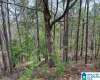 1833 SOUTHVIEW CIRCLE, HOOVER, Shelby, Alabama, 35244, 21379924, ,Lots,For Sale,SOUTHVIEW CIRCLE,21379924