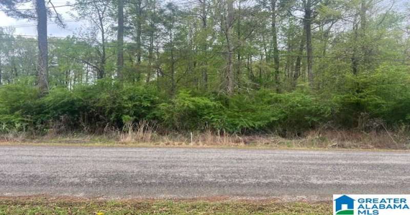 0 MICHELLE DRIVE, LAKEVIEW, Tuscaloosa, Alabama, 21383156, ,Lots,For Sale,MICHELLE DRIVE,21383156