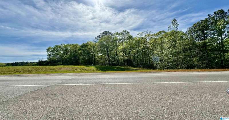0 COLDWATER ROAD, ANNISTON, Calhoun, Alabama, 21383240, ,Acreage,For Sale,COLDWATER ROAD,21383240