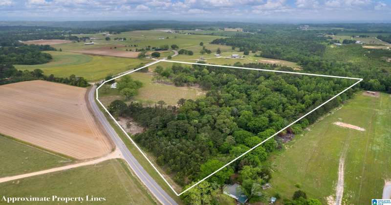10278 COUNTY ROAD 16, MAPLESVILLE, Chilton, Alabama, 36750, 21383553, 3 Bedrooms Bedrooms, ,2 BathroomsBathrooms,Single Family Home,For Sale,COUNTY ROAD 16,21383553
