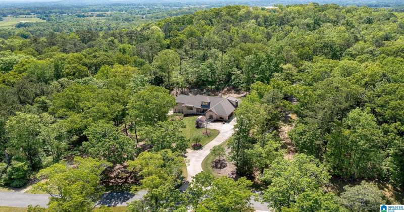 140 TOE RIVER LANE, CROPWELL, St Clair, Alabama, 35054, 21383597, 3 Bedrooms Bedrooms, ,3 BathroomsBathrooms,Single Family Home,For Sale,TOE RIVER LANE,21383597