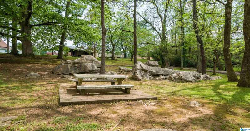 272 PLEASANT VALLEY ROAD, ODENVILLE, St Clair, Alabama, 35120, 21383647, 4 Bedrooms Bedrooms, ,3 BathroomsBathrooms,Single Family Home,For Sale,PLEASANT VALLEY ROAD,21383647