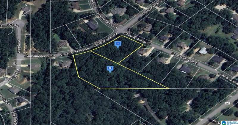 109 CHESTNUT FOREST DRIVE, HELENA, Shelby, Alabama, 35080, 21383890, ,Lots,For Sale,CHESTNUT FOREST DRIVE,21383890