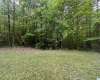TIMBER TRAIL, WARRIOR, Blount, Alabama, 21383959, ,Acreage,For Sale,TIMBER TRAIL,21383959