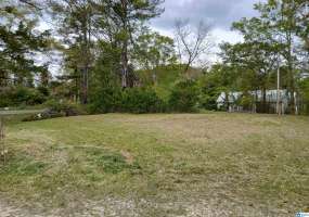 6072 COUNTY ROAD 222, LANETT, Chambers, Alabama, 21384550, ,Lots,For Sale,COUNTY ROAD 222,21384550