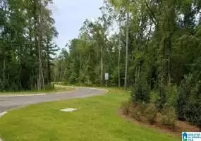 1 CHELSEA HIGHLANDS PARKWAY, CHELSEA, Shelby, Alabama, 821315, ,Lots,For Sale,CHELSEA HIGHLANDS PARKWAY,821315