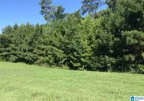 LOT 1 INDIAN GATE CIRCLE, BIRMINGHAM, Shelby, Alabama, 853455, ,Lots,For Sale,INDIAN GATE CIRCLE,853455