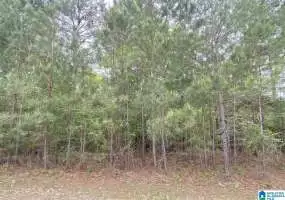 109 CLEARVIEW ROAD, ODENVILLE, St Clair, Alabama, 1283054, ,Acreage,For Sale,CLEARVIEW ROAD,1283054