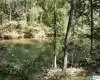 41 FISHER WAY, VINCENT, St Clair, Alabama, 616866, ,Lots,For Sale,FISHER WAY,616866