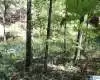 42 FISHER WAY, VINCENT, St Clair, Alabama, 616873, ,Lots,For Sale,FISHER WAY,616873