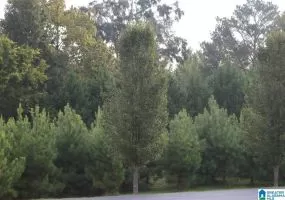6026 PARKVIEW TRAIL, SYLVAN SPRINGS, Jefferson, Alabama, 35118, 1299902, ,Lots,For Sale,PARKVIEW TRAIL,1299902