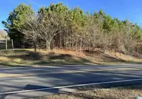 0 HIGHWAY 78, PELL CITY, St Clair, Alabama, 1307939, ,Acreage,For Sale,HIGHWAY 78,1307939
